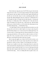 ghiên cứu đặc điểm lâm sàng, cận lâm sàng và nồng độ một số cytokin ở bệnh nhân viêm loét đại trực tràng chảy máu (LA tiến sĩ)