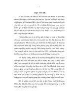 Nghiên cứu thực nghiệm áp dụng quy trình nuôi cấy và bảo quản tạo cốt bào biệt hóa từ tế bào gốc trung mô tủy xương 