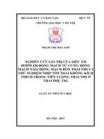 Nghiên cứu giá trị của siêu âm Doppler động mạch tử cung, động mạch não, động mạch rốn thai nhi và thử nghiệm nhịp tim thai không kích thích trong tiên lượng thai nhi ở thai phụ TSG