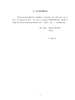 Hoàn thiện chiến lược marketing mix tại công ty trách nhiệm hữu hạn một thành viên quế lâm miền trung 