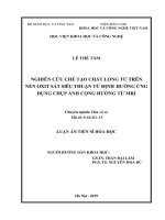 Nghiên cứu chế tạo chất lỏng từ trên nền axit sắt siêu thuận từ định hướng ứng dụng chụp ảnh cộng hưởng từ MRI