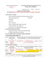 Mẫu số kê khai thành tích thi đua cá nhân 2019 (1)