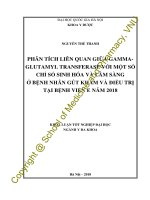 Phân tích liên quan giữa gamma   glutamyl transferase với một số chỉ số sinh hóa và lâm sàng ở bệnh nhân gút khám và điều trị tại bệnh viện e năm 2018 
