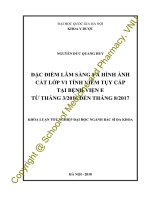 Đặc điểm lâm sàng và hình ảnh cắt lớp vi tính viêm tụy cấp tại bệnh viện e từ tháng 3 2016 đến tháng 8 2017 