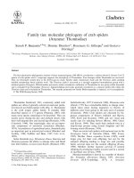 Benjaminetal cladistics