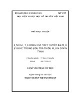 Đánh giá tác dụng của hoạt huyết bổ máu Đại Bắc trong điều trị thiếu máu não mạn tính