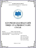 bài tập nhóm môn HÀNH VI NGƯỜI TIÊU DÙNG SẢN PHẨM GIAI ĐOẠN GIỚITHIỆU CỦA PRODUCT LIFECYCLE