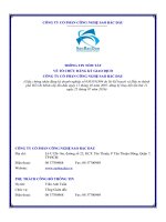 THÔNG TIN TÓM TẮT VỀ TỔ CHỨC ĐĂNG KÝ GIAO DỊCH CÔNG TY CỔ PHẦN CÔNG NGHỆ SAO BẮC ĐẨU