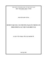(Luận văn thạc sĩ) Hành vi quảng cáo thương mại gây nhầm lẫn theo pháp luật Việt Nam hiện nay