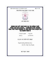 ĐÁNH GIÁ kết QUẢ HOÁ xạ TRỊ ĐỒNG THỜI PHÁC đồ PACLITAXEL   CARBOPLATIN TRONG UNG THƯ PHỔI KHÔNG tế bào NHỎ GIAI đoạn IIIB tại BỆNH VIỆN k 