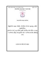 NGHIÊN cứu đặc điểm lâm SÀNG, xét NGHIỆM, PHÂN LOẠI và kết QUẢ điều TRỊ tấn CÔNG LƠXÊMI cấp CHUYỂN từ LƠXÊMI KINH DÒNG hạt 