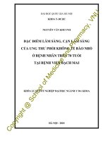 Đặc điểm lâm sàng, cận lâm sàng của ung thư phổi không tế bào nhỏ ở bệnh nhân trên 70 tuổi tại bệnh viện bạch mai 
