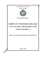 Nghiên cứu thành phần hóa học của cây chua me đất hoa vàng 