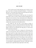 Nghiên cứu hình thái lâm sàng và hình ảnh cắt lớp vi tính của bệnh lý thượng nhĩ có tổn thương tường thượng nhĩ 