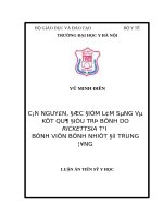 CĂN NGUYÊN, đặc điểm lâm SÀNG và kết QUẢ điều TRỊ BỆNH DO RICKETTSIA tại BỆNH VIỆN BỆNH NHIỆT đới TRUNG ƯƠNG 