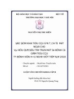 ĐẶC điểm KHỐI TIỂU cầu gạn TÁCH từ  một NGƯỜI CHO và HIỆU QUẢ điều TRỊ TRÊN một số BỆNH có GIẢM TIỂU cầu tại BỆNH VIỆN hữu NGHỊ VIỆT TIỆP năm 2018 