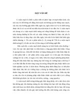 Nhận xét đặc điểm lâm sàng và hình ảnh cộng hưởng từ của bệnh u cuộn mạch dưới móng 