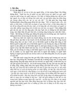 Rèn luyện kỹ năng viết đoạn văn nghị luận xã hội cho học sinh THPT 