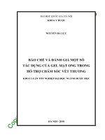 Bào chế và đánh giá một số tác dụng của gel mật ong trong hỗ trợ chăm sóc vết thương 