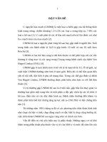 Đặc điểm lâm sàng, chẩn đoán hình ảnh, kết quả điều trị phẫu thuật u nguyên bào mạch hố sau 