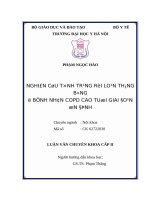 NGHIÊN cứu TÌNH TRẠNG rối LOẠN THĂNG BẰNG ở BỆNH NHÂN COPD CAO TUỔI GIAI đoạn ổn ĐỊNH 
