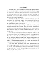 Nghiên cứu ứng dụng tán sỏi bằng điện thủy lực trong điều trị sỏi đường mật trong gan tại bệnh viện đại học y hà nội 