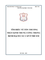 TìM HIỂU về tổn THưƠNG THẦN KINH TRUNG ưƠNG TRONG BỆNH BẠCH cầu cấp ở TRẺ EM 