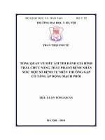 TỔNG QUAN về SIÊU âm TIM ĐÁNH GIÁ HÌNH THÁI, CHỨC NĂNG THẤT PHẢI ở BỆNH NHÂN mắc một số BỆNH tự MIỄN THƯỜNG gặp có TĂNG áp ĐỘNG MẠCH PHỔI 