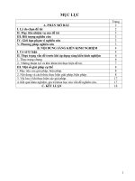 Dạy học theo định hướng phát triển năng lực học sinh qua chùm “ca dao than thân yêu thương tình nghĩa” trong chương trình ngữ văn lớp 10 