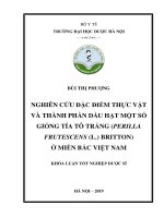 Nghiên cứu đặc điểm thực vật và thành phần dầu hạt một số giống tía tô trắng (Perilla Frutescens(L.) Britton) ở miền Bắc Việt Nam