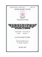 ĐÁNH GIÁ HIỆU QUẢ vô cảm và GIẢM ĐAU SAU mổ nội SOI KHỚP gối của gây tê tủy SỐNG BẰNG BUPIVACAIN HOẶC ROPIVACAIN kết hợp với FENTANYL và MORPHIN 