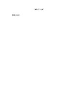 Khảo sát việc sử dụng các đơn vị ngôn ngữ tiếng anh (tiếng anh) vào lời các bài hát nhạc trẻ việt nam giai đoạn 2002 2018 