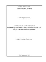 NGHIÊN cứu đặc điểm HÌNH THÁI và TRÌNH tự VÙNG GEN matKITS của một số mẫu cây THUỘC CHI DƯƠNG ĐỒNG (adinandra) 
