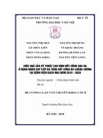 HIỆU QUẢ CỦA KỸ THUẬT TẠO HÌNH ĐỐT SỐNG QUA DA Ở BỆNH NHÂN XẸP CẤP ĐA TẦNG ĐỐT SỐNG DO LOÃNG XƯƠNG TẠI BỆNH VIỆN BẠCH MAI NĂM 2018-2020