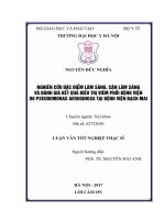 NGHIÊN cứu đặc điểm lâm SàNG, cận lâm SàNG và ĐáNH GIá kết QUả điều TRị VIÊM PHổI BệNH VIệN  DO PSEUDOMONAS AERUGINOSA tại BệNH VIệN BạCH MAI 
