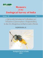 ASystematicInventoryofScelioninaeand Teleasinae(Hymenoptera:Platygastridae) intheRiceEcosystemsofNorthcentralKerala RAJMOHANA,K. ASystematicInventoryofScelioninaeand Teleasinae(Hymenoptera:Platygastridae) intheRiceEcosystems