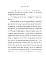 Mô tả đặc điểm lâm sàng của amidan viêm mạn tính có chỉ định phẫu thuật 