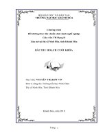 Bài thu hoạch nâng ngạch giáo viên tiểu học hạng II