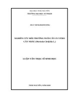 NGHIÊN cứu môi TRƯỜNG NUÔI cấy IN VITRO cây NHÀU (morinda citrifolia l ) 