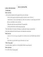 Bài 21 quang hợp  sinh học 6