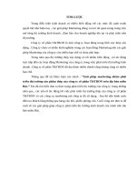 Giải pháp marketing nhằm phát triển thị trường sản phẩm thép của công ty cổ phần TTBON trên địa bàn miền bắc 