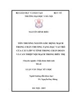 Tổn thương nguồn gốc động mạch trong chấn thương tạng đặc vai trò của cắt lớp vi tính trong chẩn đoán và can thiệp nội mạch trong điều trị 