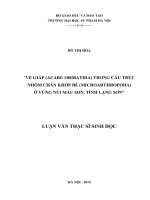 VE GIÁP (ACARI ORIBATIDA) TRONG cấu TRÚC NHÓM CHÂN KHỚP bé (MICROARTHROPODA) ở VÙNG núi mẫu sơn, TỈNH LẠNG sơn 