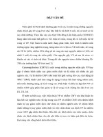 Nhận xét đặc điểm dịch tễ học lâm sàng của viêm phổi có nhiễm cytomegalovirus ở trẻ em tại viện nhi trung ương 