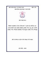 ẢNH HƯỞNG của CRILIN t lên sự BIỂU lộ của một số GEN SINH UNG THƯ và ức CHẾ UNG THƯ TRÊN DÒNG tế bào UNG THƯ PHỔI 