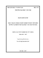THỰC TRẠNG STRESS NGHỀ NGHIỆP ở NHÂN VIÊN điều DƯỠNG tại BỆNH VIỆN đại học y hà nội năm 2016 