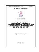 NGHIÊN cứu kết QUẢ SÀNG lọc PHÁT HIỆN sớm UNG THƯ PHỔIỞ BỆNH NHÂN CAO TUỔI có yếu tố NGUY cơ BẰNG CHỤP cắt lớp VI TÍNH LIỀU THẤP 