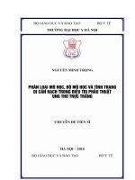 PHÂN LOẠI mô học, độ mô học và TÌNH TRẠNG DI căn HẠCH TRONG điều TRỊ PHẪU THUẬT UNG THƯ TRỰC TRÀNG 