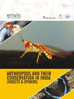 Arthropods and their Conservation in India (Insects  Spiders)