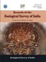 HARA NARESHI, A NEW SPECIES OF CATFISH (PISCES: ERETHISTIDAE) FROM THE BARAK RIVER SYSTEM OF ASSAM, INDIA